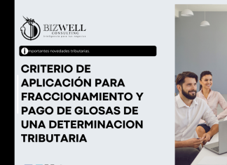 CRITERIO DE APLICACIÓN PARA FRACCIONAMIENTO Y PAGO DE GLOSAS DE UNA DETERMINACION TRIBUTARIA | CIRCULAR Nro. NAC-DGECCGC24-00000004